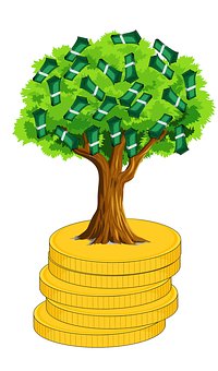 cost of raising capital