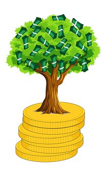 Cost of Raising Capital